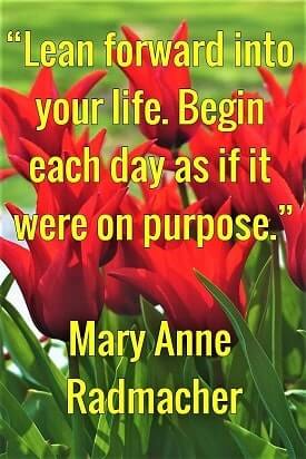 “Lean forward into your life. Begin each day as if it were on purpose.” ― Mary Anne Radmacher