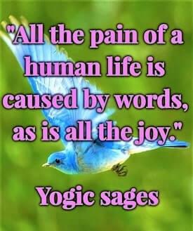 "All the pain of a human life is caused by words, as is all the joy." — Yogic sages