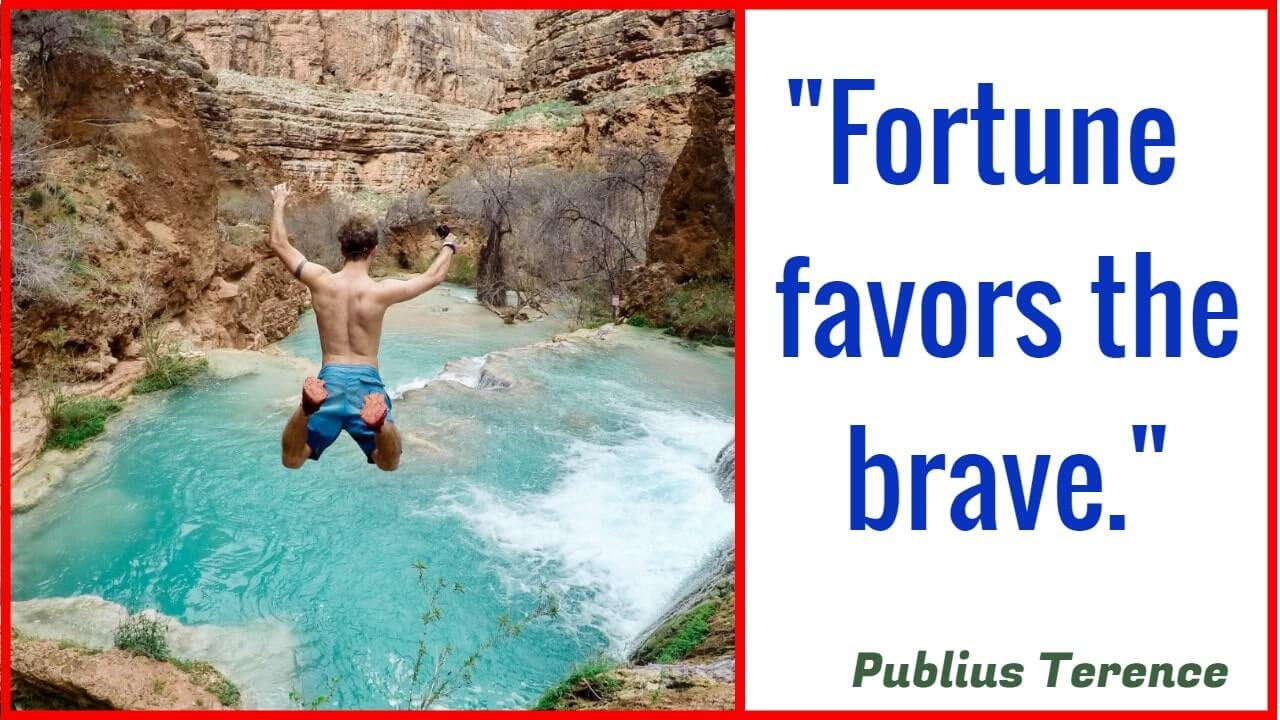 "Fortune favors the brave." – Publius Terence​